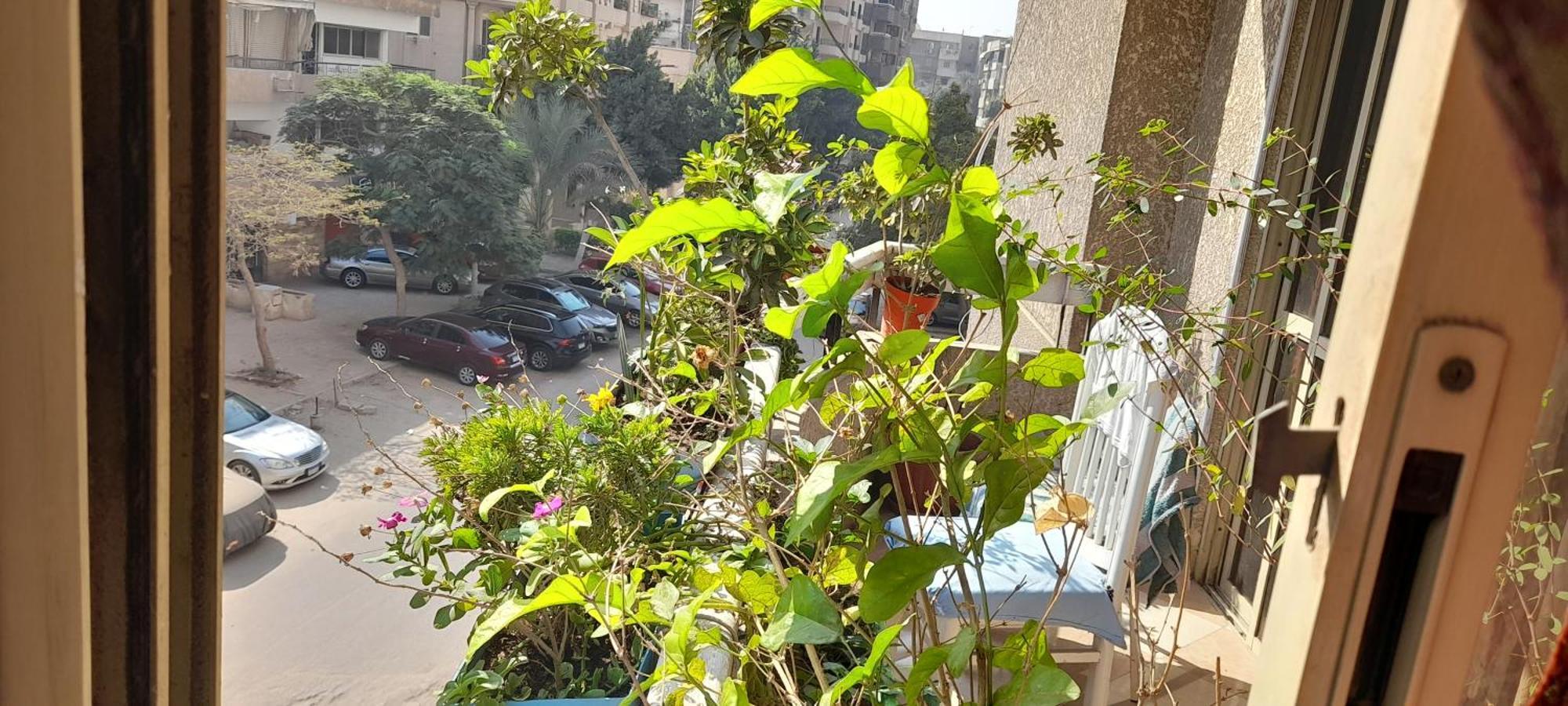A In An In Nasr City, Cairo, In The Eighth District, 15 Minutes From Airport,غرفة بشقة بمدينة نصر بالقاهرة بالحي الثامن 15 دقيقة من مطار و 7 دقيقة من معهد الفجر و 12 دقيقة لمعهد ابانة لتعليم اللغة العربية و 26 دقيقة لوسط