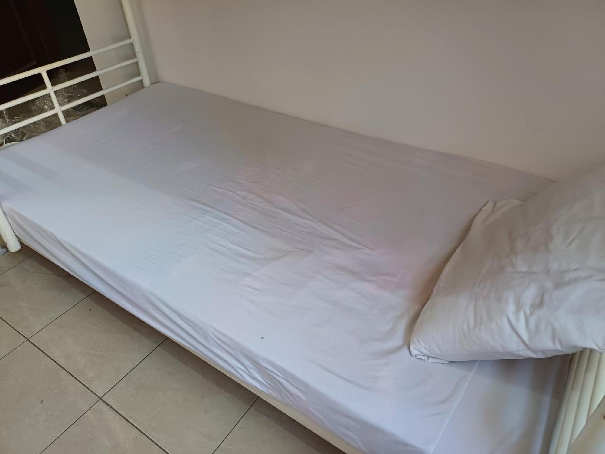 A In An In Nasr City, Cairo, In The Eighth District, 15 Minutes From Airport,غرفة بشقة بمدينة نصر بالقاهرة بالحي الثامن 15 دقيقة من مطار و 7 دقيقة من معهد الفجر و 12 دقيقة لمعهد ابانة لتعليم اللغة العربية و 26 دقيقة لوسط Alloggio in famiglia