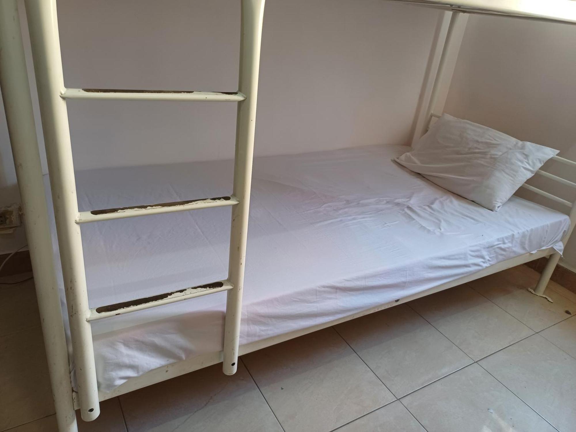 Alloggio in famiglia A In An In Nasr City, Cairo, In The Eighth District, 15 Minutes From Airport,غرفة بشقة بمدينة نصر بالقاهرة بالحي الثامن 15 دقيقة من مطار و 7 دقيقة من معهد الفجر و 12 دقيقة لمعهد ابانة لتعليم اللغة العربية و 26 دقيقة لوسط Il Cairo