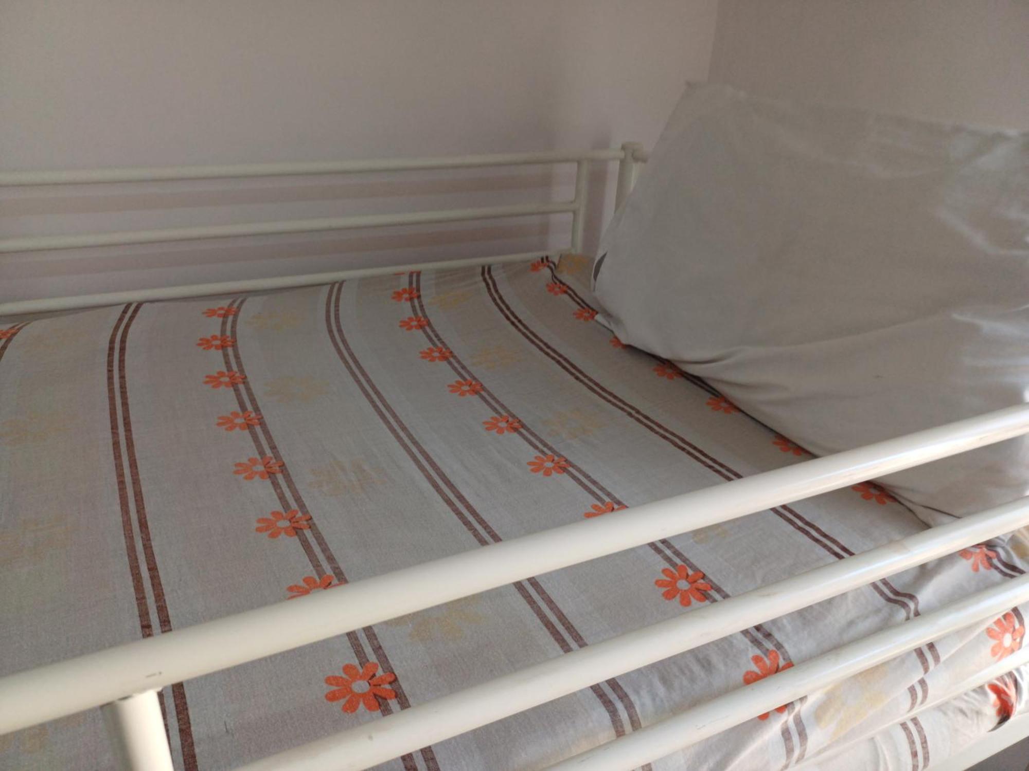 Alloggio in famiglia A In An In Nasr City, Cairo, In The Eighth District, 15 Minutes From Airport,غرفة بشقة بمدينة نصر بالقاهرة بالحي الثامن 15 دقيقة من مطار و 7 دقيقة من معهد الفجر و 12 دقيقة لمعهد ابانة لتعليم اللغة العربية و 26 دقيقة لوسط Il Cairo